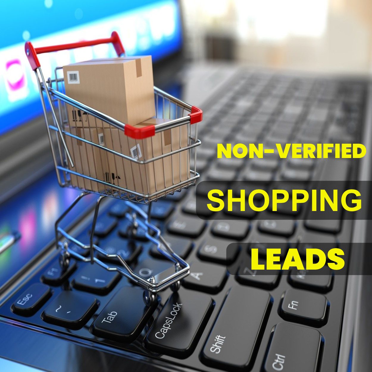 Non-verified-shopping-leads
