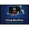 Fixing wordpress bugs and issue and errors