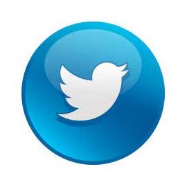white Twitter logo in blue background