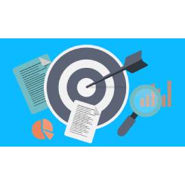 Domain Warm-Up (1 year)