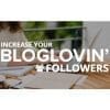 increase blog loving followers with Information Technology Product