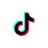 Only tiktok image in Information Technology Product website