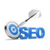 SEO Services - Silver Package with Information Technology Product