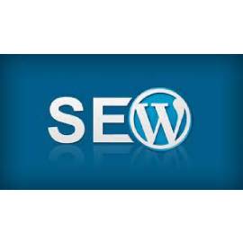5 Pages - WordPress SEO with Information Technology Product
