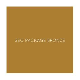 SEO Services - Bronze Package with Information Technology Product