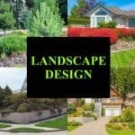 Landscape Design