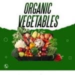 Organic Vegetable