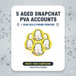 5 OLD SNAPCHAT PVA ACCOUNTS
