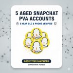 5 OLD SNAPCHAT PVA ACCOUNTS - 6 MONTH