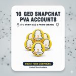 10 OLD SNAPCHAT PVA ACCOUNTS (1-3) MONTH