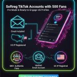 TikTok Accounts with 500 Fans