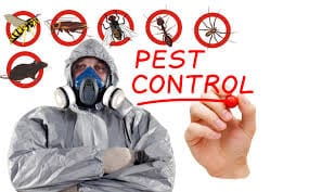 Pest Control in Las Vegas