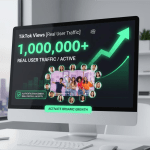 Real User Traffic Views