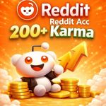Reddit Acc 200+ Karma – High Authority