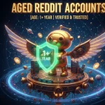 A high-trust, aged 1-year-old Reddit account profile page displayed on a screen for instant posting.