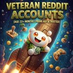 Reddit Accounts (22+ Month) – Aged Profiles
